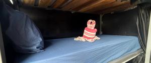 a toy rabbit is sitting on a bed at Alura Hostel in Kata Beach +6 photos