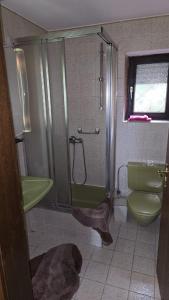 a bathroom with a green sink and a shower at Zum Waldschlössl im Vilstal in Aldersbach