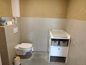ディクスムイデにあるVakantiewoning De Spechtのトイレと洗面台のある小さなバスルーム