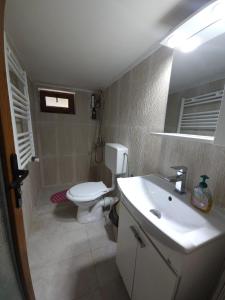 a bathroom with a white toilet and a sink at Pensiunea Mirela in Breaza +29 photos