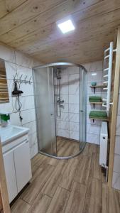 a shower in a bathroom with a wooden ceiling at Нота Карпат in Skole +92 photos