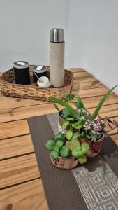 a potted plant sitting on a wooden table at Lumina in General Roca