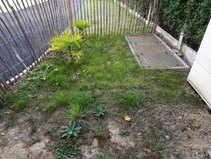 un jardín con una valla y algunas plantas en Studio Saint Marc sur Mer, en Saint-Nazaire 1 foto más