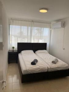 Postel nebo postele na pokoji v ubytování Large guest apartment in Mitzpe Ramon