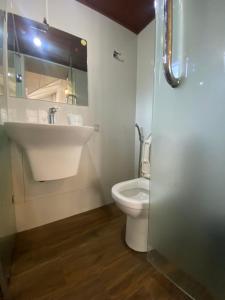 ein Badezimmer mit Waschbecken und Toilette in der Unterkunft Peak View Cottage in Nuwara Eliya + 15 Fotos