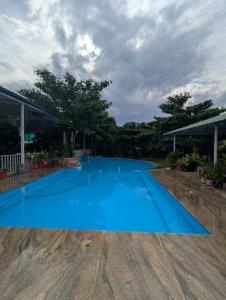 Kolam renang di atau dekat dengan Eco Farmville