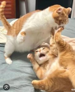 Afbeelding uit fotogalerij van Hotel Haru 호텔 하루 in Eumseong