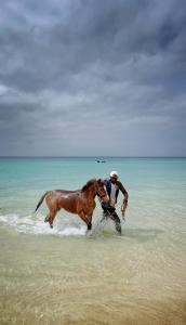 een man die een paard op het strand laat rennen bij Ibiscus Penthouse in Santa Maria