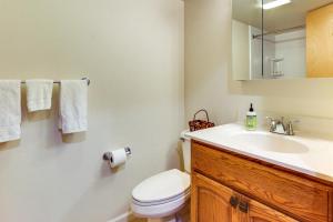 a bathroom with a toilet and a sink at Deep Creek Lake Townhome with Deck and Water Views in Oakland +21 photos