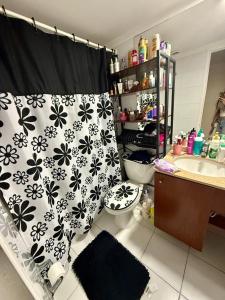 y baño con cortina de ducha, aseo y lavamanos. en Antofagasta Centro 2 habitaciones, en Antofagasta