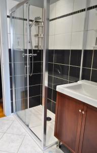 a glass shower in a bathroom with a sink at Cosy appartement La Bresse centre ville in La Bresse