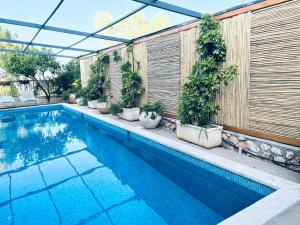 una piscina con macetas junto a una valla en Pinat Nofesh, en Rosh Pina 36 fotos más