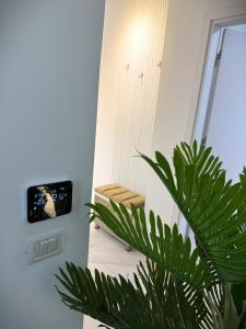 a plant in a hallway with a television on a wall at Elite Glow Studio in Roşu