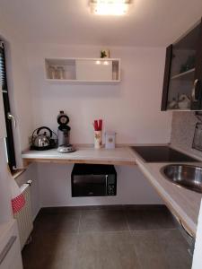 une petite cuisine avec un évier et un micro-ondes dans l'établissement Häuschen in grüner Idylle, à Berggiesshübel 5 autres photos