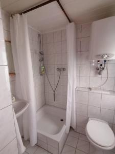 une salle de bain blanche avec douche et toilettes dans l'établissement Häuschen in grüner Idylle, à Berggiesshübel