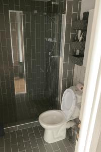 un baño con inodoro y ducha en Alpine Vista Gudauri, en Gudauri