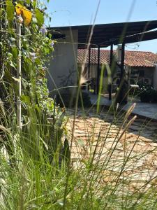 a garden with tall grass and a house at Terra Bella in Fernando de la Mora