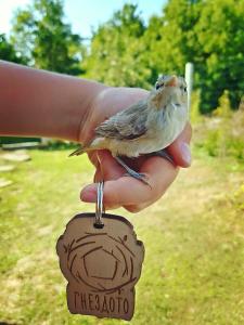a person holding a small bird in their hand at Бунгала Гнездото Bungalows The Nest 1 in Lozenets