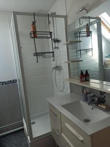 ランブイエにあるMaison familiale - Promo Toussaint - Paris 35 minのバスルーム(シャワー、シンク、シャワー付)