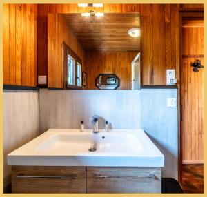 a bathroom with a white sink and wooden walls at Le Chalet de Jacky I Vue Lac I Lugrin in Lugrin +26 photos