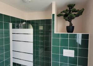 a green tiled bathroom with a potted plant on a shelf at Le Cercle de Victoria stationnement privé petit déjeuner compris in Bourges +31 photos