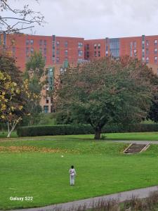 a person standing in the grass in a park at Blue Haven 2 in Manchester