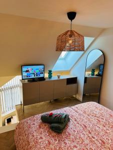 a bedroom with a bed with a television and a mirror at Auréa - Elégant Duplex Rennes in Rennes