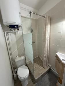 Un pequeño baño con ducha y WC. en Studio centre historique d'Honfleur, en Honfleur