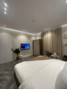 TV a/nebo společenská místnost v ubytování شقة استديو دخول ذاتي حي الوزارات