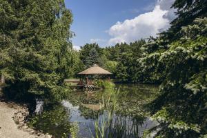 a gazebo in the middle of a pond at Serce Lasu - Hotel z Duszą i Energią Kamieni in Czarna