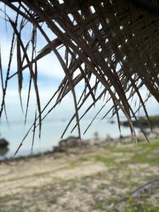 Delft EastにあるDelft Jungle Beachfront Villaのギャラリーの写真