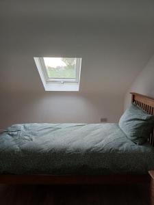 Schlafzimmer mit einem Bett und einem Fenster in der Unterkunft The Widow's Cottage in Tipperary