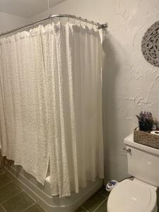 a bathroom with a shower curtain and a toilet at Golden Valley Retreat in Hersey +44 photos