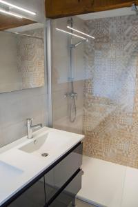a bathroom with a sink and a shower at Gîte Les Bougrines - Marais in Fontaines