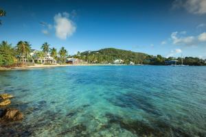 a view of a beach with blue water and palm trees at Margaritaville Vacation Club - St Thomas in Frydendal