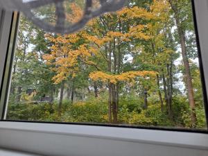 Φωτογραφία από το άλμπουμ του Niezależny apartament przy Parku Zdrojowym 667-666-609 σε Kudowa-Zdrój +2 φωτογραφίες