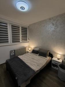 a bedroom with a bed with two lamps on it at Nina Urban Apartment-Novi Beograd in Belgrade +13 photos