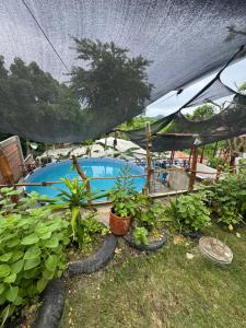 une piscine dans une tente avec quelques plantes dans l'établissement Casa Campestre DONDE MAMI ENA, à Galapa