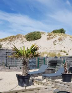 ベルク・シュル・メールにあるMaison des dunesのビーチの前に置かれた2つの鉢植え