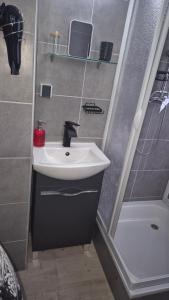 a small bathroom with a sink and a shower at FeWo Festungsblick Würzburg in Würzburg