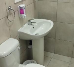 Un baño con un lavabo blanco y un inodoro. en MV Eden Guest Farm, en Bloemfontein