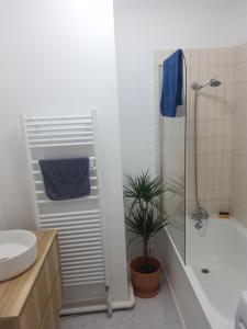 a bathroom with a shower and a toilet and a plant at Appartement cosy Nantes proche gare in Nantes