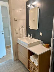 a bathroom with a sink and a mirror at Gartenapartment Mariazell in Mariazell