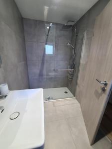 a bathroom with a shower and a sink at Stubel-Riedisheim in Riedisheim +6 photos