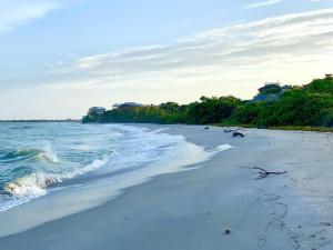 una spiaggia sabbiosa con l'oceano e edifici sullo sfondo di Tipsy Turtle a Captiva