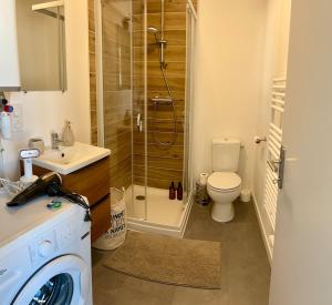 a bathroom with a shower and a toilet and a sink at Appartement proche Ancenis - Loire et Vélo in Liré