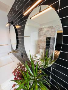 a bathroom with a mirror and a plant at BIG HOUSE, máximo 22 personas !!!!!!!!!!!!!!! in Guadalajara +126 photos
