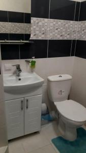 a bathroom with a white toilet and a sink at Apartment on Mstyslavs'ka in Chernihiv +3 photos