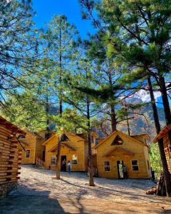 une grande grange en bois avec des arbres devant dans l'établissement Cabañas la Wereke, à San Isidro