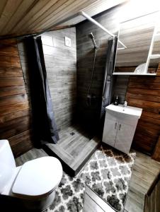 a bathroom with a toilet and a shower and a sink at Подих Карпат in Volosyanka